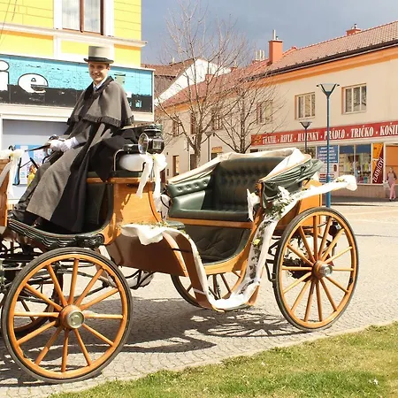 Hotell Lovecky Zamecek Buchlovice